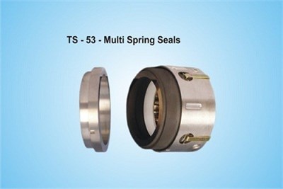 Multi Spring Seals